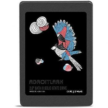 ADROITLARK SSD Interne 240 Go 2,5 Pouces SATA III