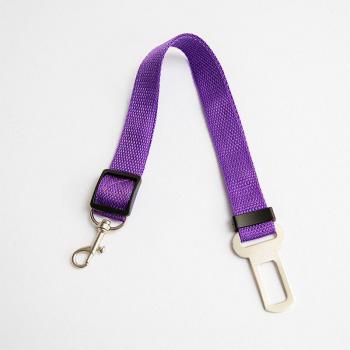 Clip de seguridad para mascotas en vehículos