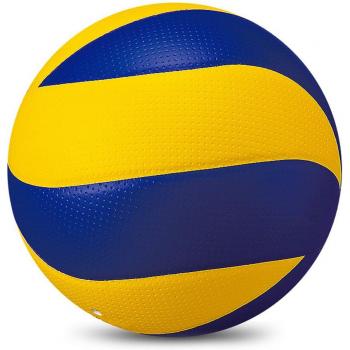 S66 Indoor Outdoor Volleyball