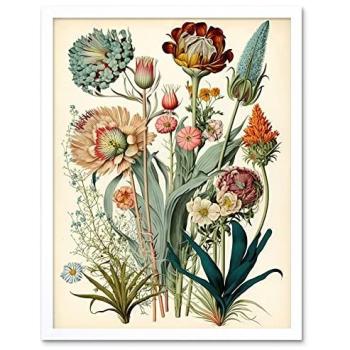 Botanical Study by Haeckel 12×16 Framed Art