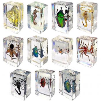 Kit de Coleccionables de Insectos en Resina, 11 Unidades