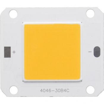 CLAITE 50W Warm White COB LED Grow Light