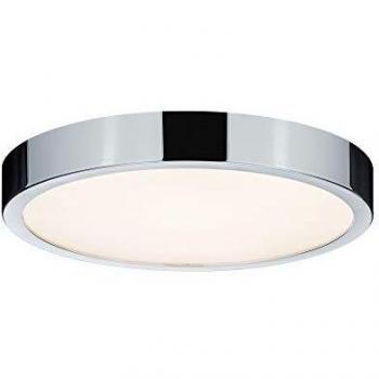 Dimmable Aviar Ceiling Lamp