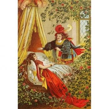 Puzzle Carl Offterdinger : Le Royaume Enchanté Grafika Kids
