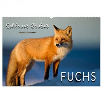 Fuchs