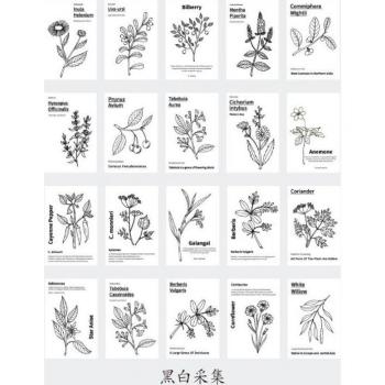80pcs Plant-Themed Sticky Notepad