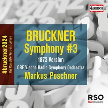 Symphonie 3 en Ré mineur, Op. ??