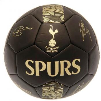 Palla da allenamento Tottenham Hotspur Mod. 5