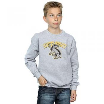 Young Hufflepuff Spirit Grey T-Shirt Hoodie