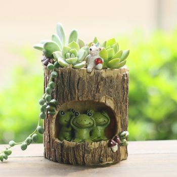 Jardinière en céramique pour succulentes