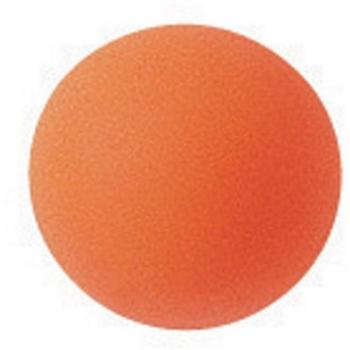 Tremblay Practice Hockey Ball
