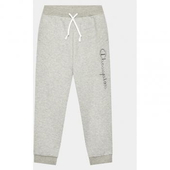 Champion Sporthosen Grau Regular Fit 306345