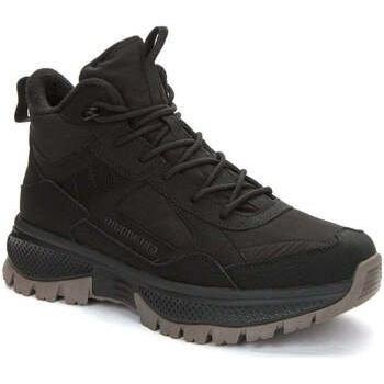 Bottines Homme Grunberg