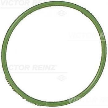 Guarnizione Collettore Aspirazione VICTOR REINZ 059129796C
