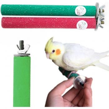 Griffe pour perroquets