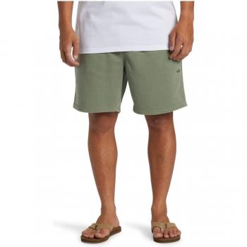 Quiksilver Salzwasser Shorts in Khaki XL