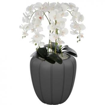 Fleur Orchidee Imprégnée de Luxe – 90 cm, Pot Nocturne