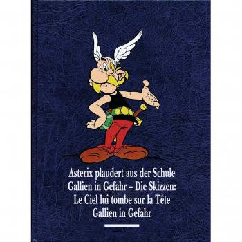 Asterix Gesamtausgabe 12