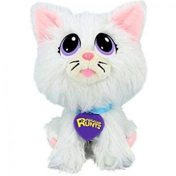 Gatito Busca Hogar Rescue Runts