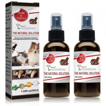 Nettoyage Dentaire Animal 2X