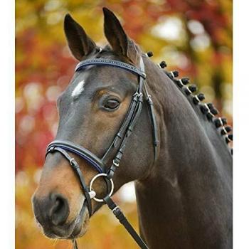 Waldhausen Pink Star Diamond Bridle for Mini Shetty