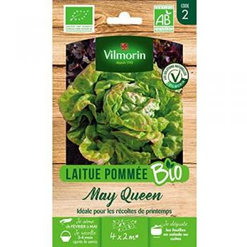 Vilmorin : Laitue May Queen, version biologique