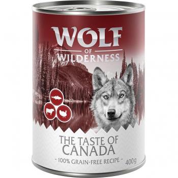 Wolf of Wilderness