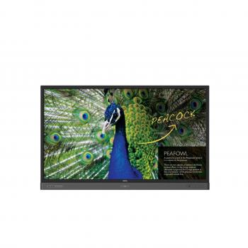 Benq RP750K Pantalla LED 75 4K