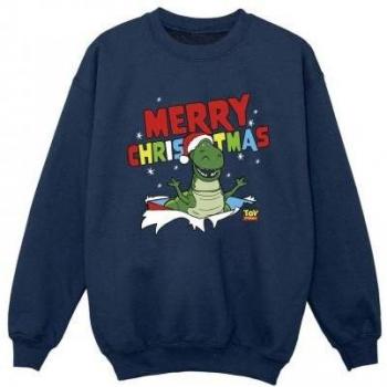 Boys’ Toy Story Rex Snowy Celebration Top