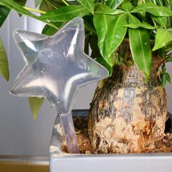 ClearBird Self-Watering Aqua Bulbs