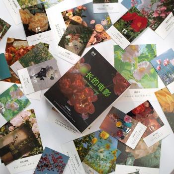 Amnaise Papillon Pack – Cartes & Décor Floral LOMO