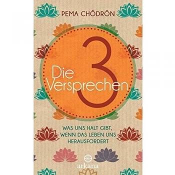 Die 3 Versprechen: Was uns Halt gibt, wenn das Leben uns herausfordert