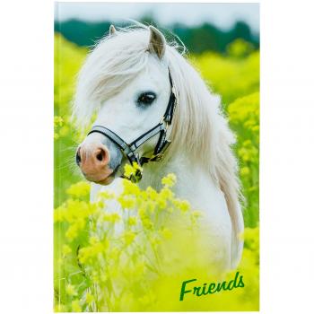 Freundebuch PAGNA, Kleines Pony