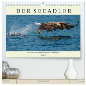 DER SEEADLER Ein Portrait des größten Greifvogels Mitteleuropas (hochwertiger Premium Wandkalender 2024 DIN A2 quer) Kunstdruck in Hochglanz