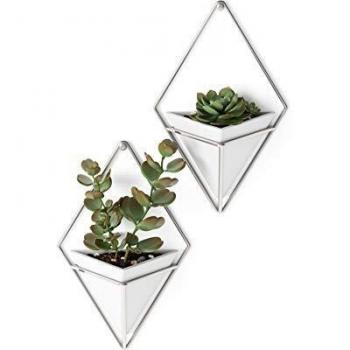Ensembles de vases muraux Trigg