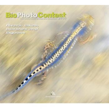 Bio photo contest 2015. Rivers, lakes, marshes and lagoons. Ediz. illustrata