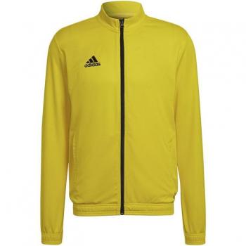 Casaco de Entrada Adidas Amarelo para Futebol Masculino