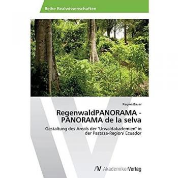 RegenwaldPANORAMA