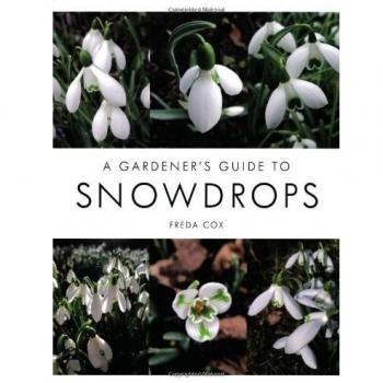 A Gardener's Guide to Snowdrops
