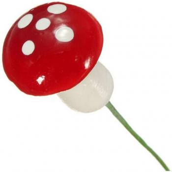 Artificial Mushroom Terrarium Craft