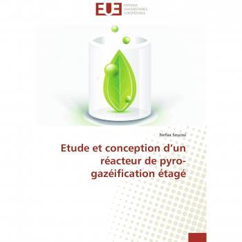 Etude et conception d’un réacteur de pyro-gazéification étagé (Omn.Univ.Europ.)