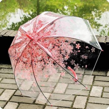 Parapluie Pluie Sakura Transparente pour Enfants