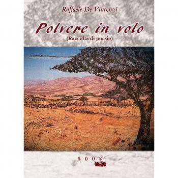Polvere in volo. Raccolta di poesie