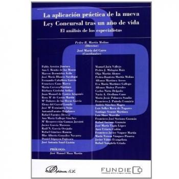 La aplicación práctica de la nueva ley concursal tras un año de vida