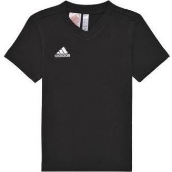 Adidas Entrada 22 Tee Y Boys' Children's T-Shirt in Black