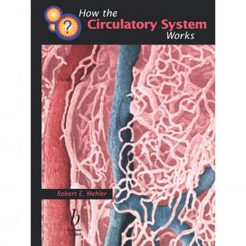 How the Circulatory System Works, How It Works Series