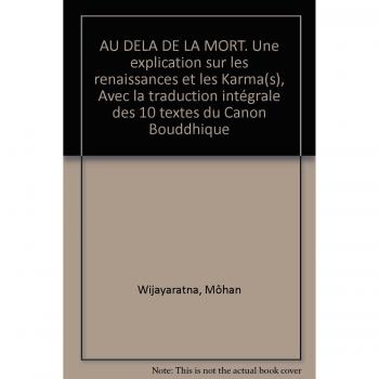 Au delà de la mort : une explication sur les renaissances et les karma
