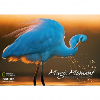Magic moment. L'incanto della natura in uno scatto perfetto. Ediz. a colori