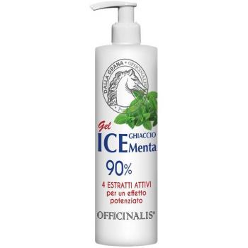Officinalis Ice Gel 90% menta e arnica montana 250ml