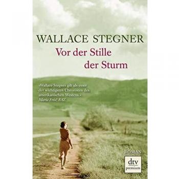 Vor der Stille der Sturm: Roman